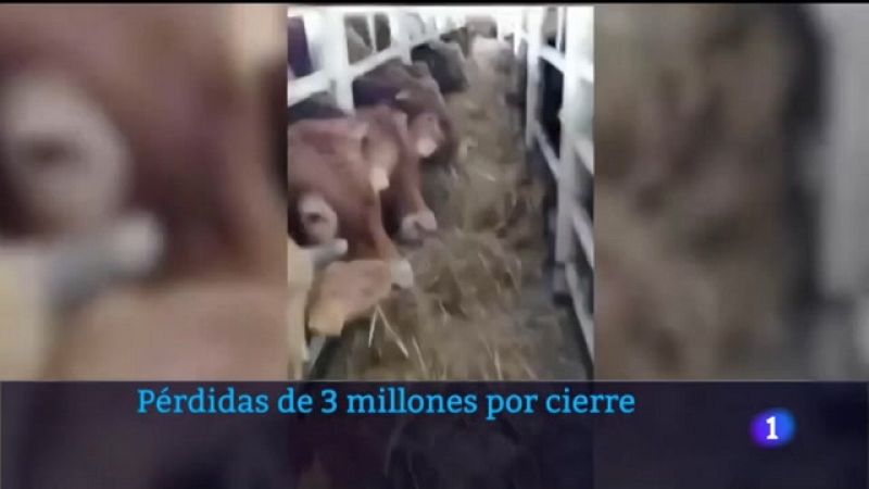 Pérdidas de hasta 3 millones por la crisis del buque de los terneros del Karim Allah