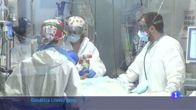 Relacionen la testosterona amb un pitjor pronòstic de la Covid-19 en homes