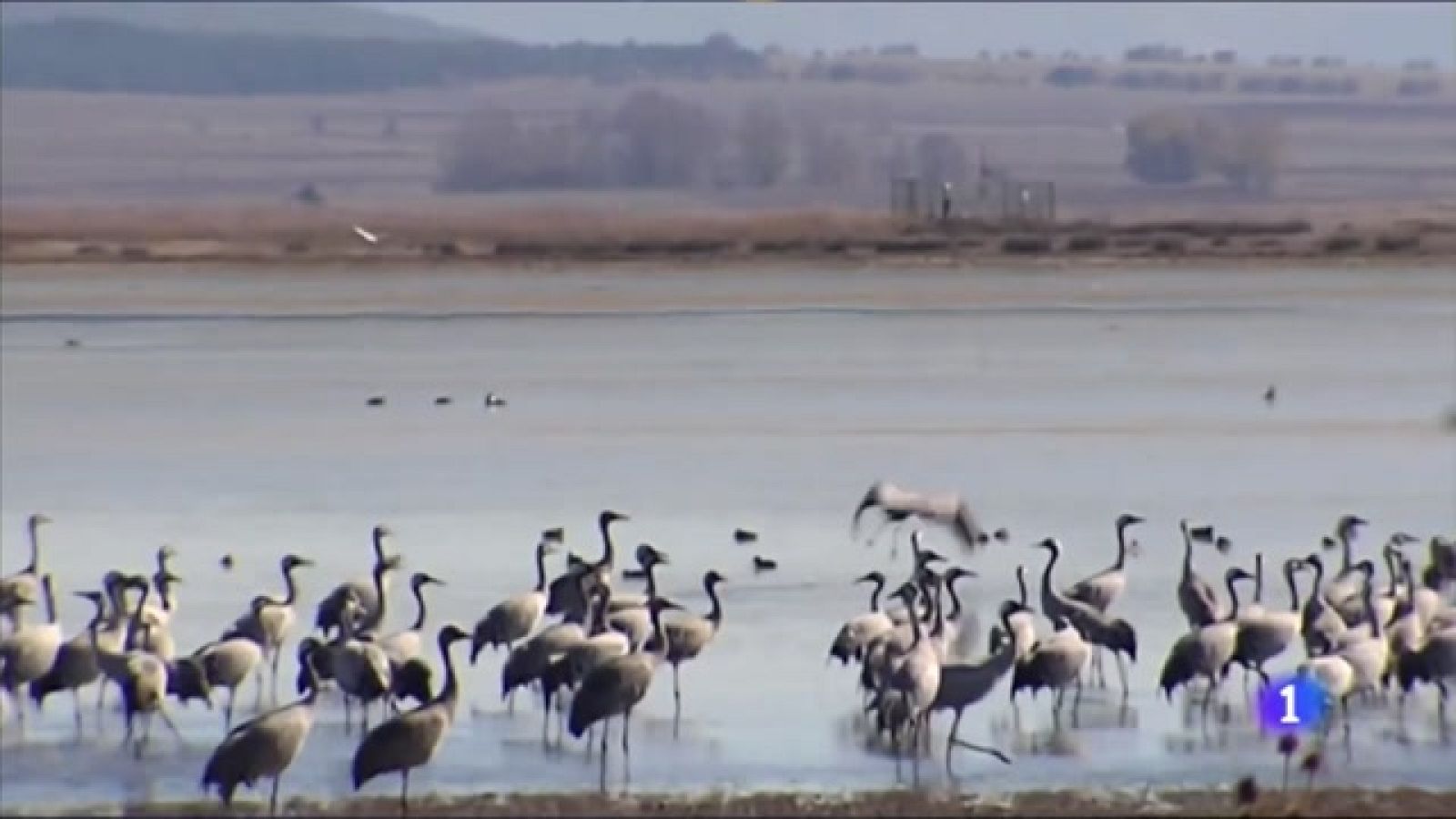 Aragón cuenta con 240 humedales