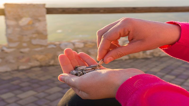 Comer pipas por la noche: ¿vicio sano o atentado contra la salud?