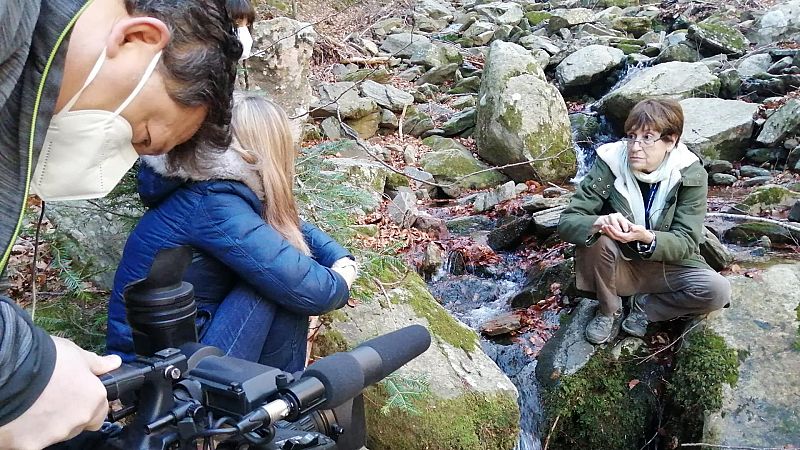 La Doctora Creu Casas i Sicart, primera catedrática en botánica de España