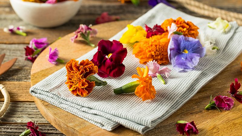 Nubes de flores, sorbete, flores con texturas... ¡las mejores recetas con las protagonistas de la primavera!