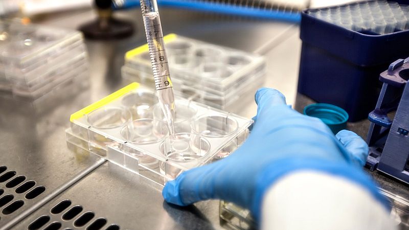 La infección por COVID-19 podría afectar a la fertilidad de los hombres