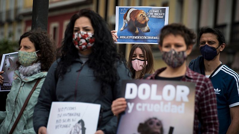 Cientos de personas protestan en varias ciudades de España contra la experimentación con animales