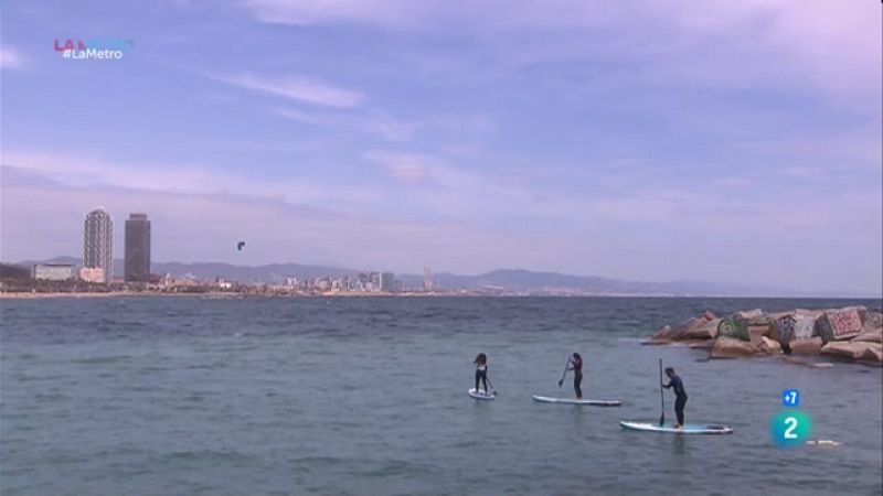 Surfing for science: el projecte de ciència ciutadana que recupera microplàstics de les platges metropolitanes