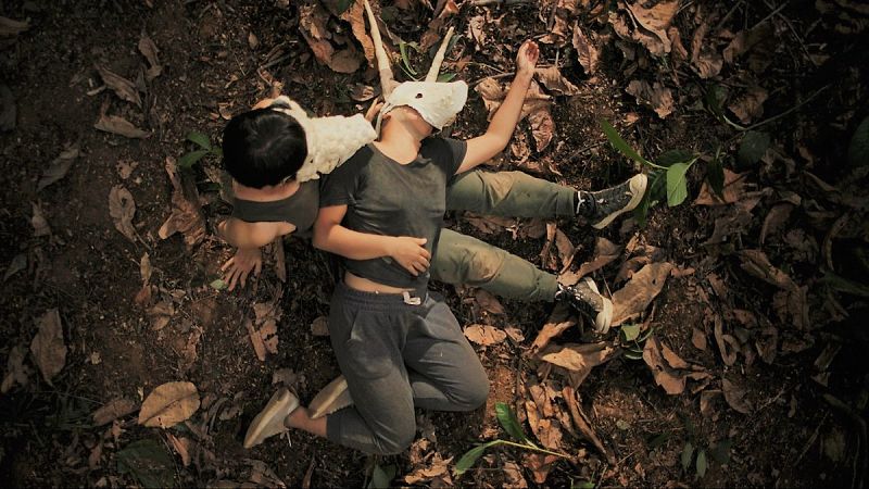 st_age, la nueva  plataforma digital de la Fundación Thyssen-Bornemisza Art Contemporary (TBA21), en Metrópolis