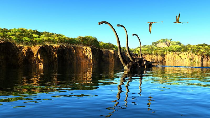 Un ave gigante convivi con los ltimos dinosaurios de Europa antes de la gran extincin