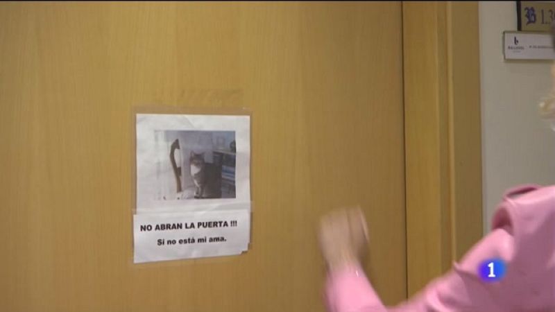 Usuarios de una residencia almeriense cumplen lo que soñaron durante el confinamiento: recorrer su ciudad