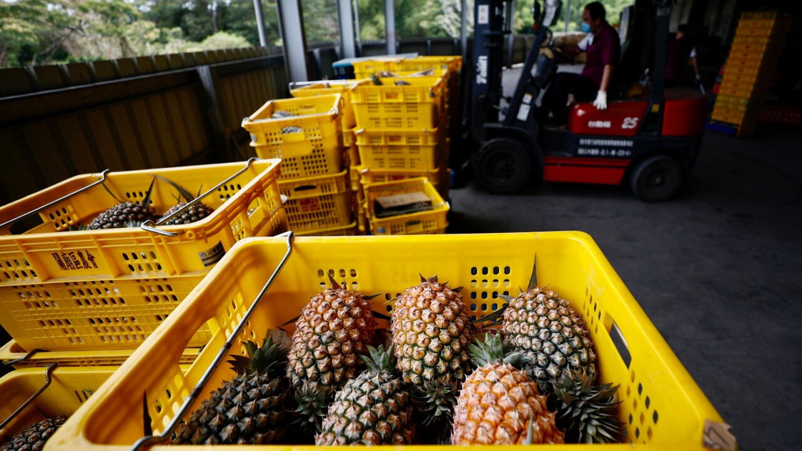 Una española, nominada al Premio Inventor Europeo por crear cuero a partir de fibras de piña - Ver ahora