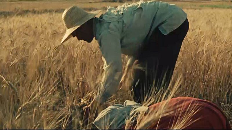 'La noche temática' analiza los mitos de los alimentos "sin"