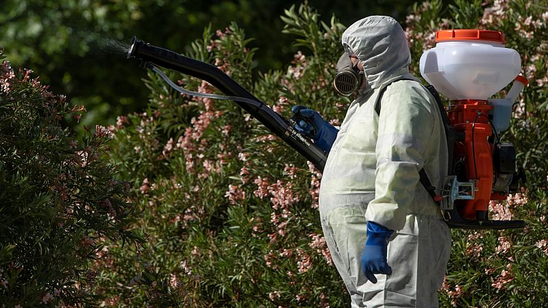 Una investigación del Ministerio de Sanidad pide "estar alerta" ante un mayor riesgo por el virus del Nilo