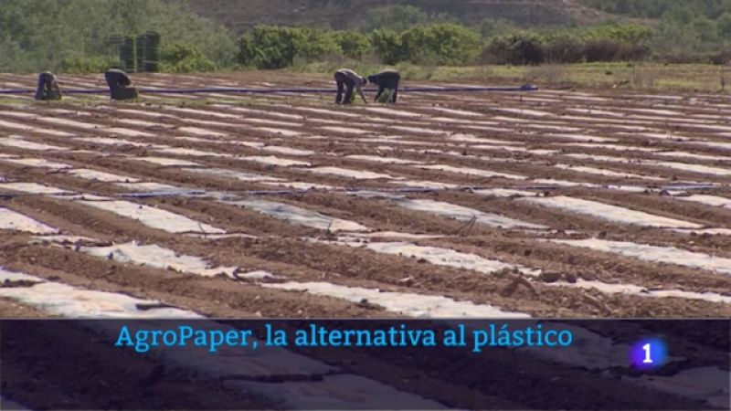 AgroPaper, la alternativa al plástico en los cultivos