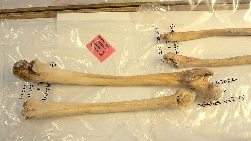 Los restos de Cristóbal Colón se someterán a un análisis definitivo de ADN