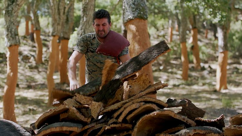 El corchero, un oficio que lucha por sobrevivir