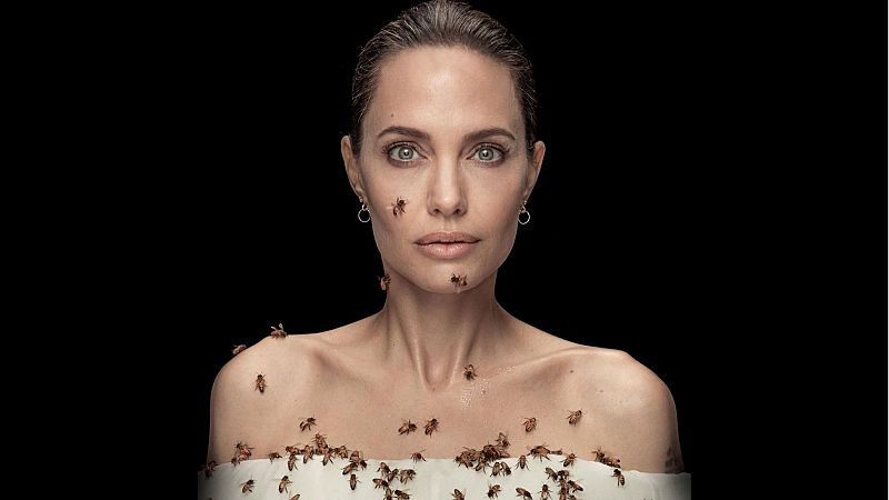 18 minutos cubierta de abejas, ¿te atreverías? Angelina Jolie lo ha hecho por una buena causa