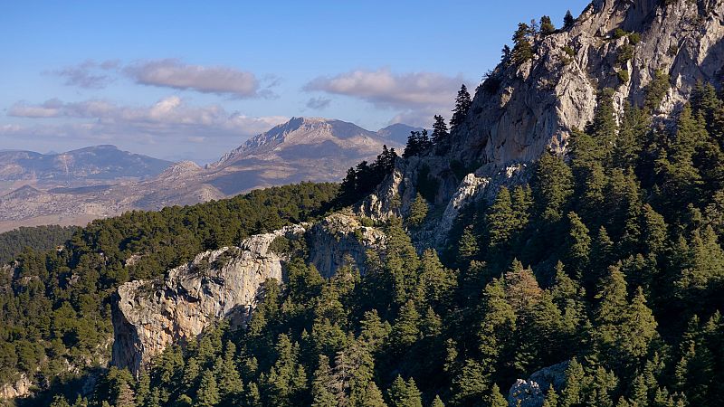 La Sierra de las Nieves, a un paso de ser el tercer Parque Nacional en Andalucía