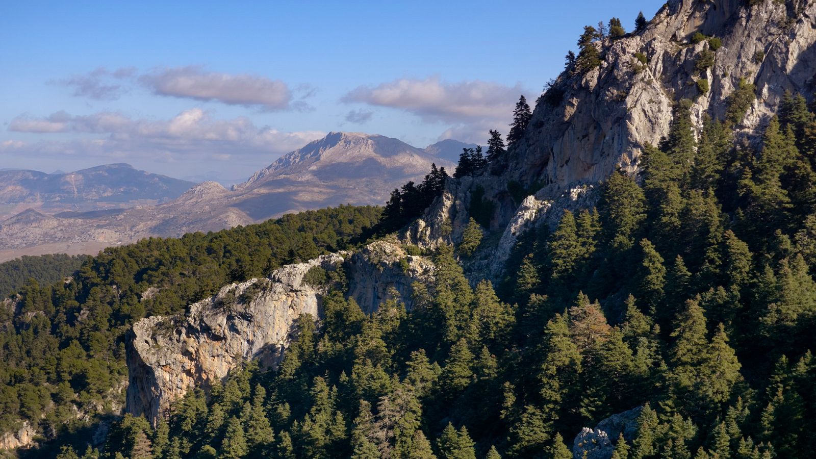 La Sierra de las Nieves ya está catalogada como  Parque Natural y Reserva de la Biosfera - Noticias Andalucía | Ver