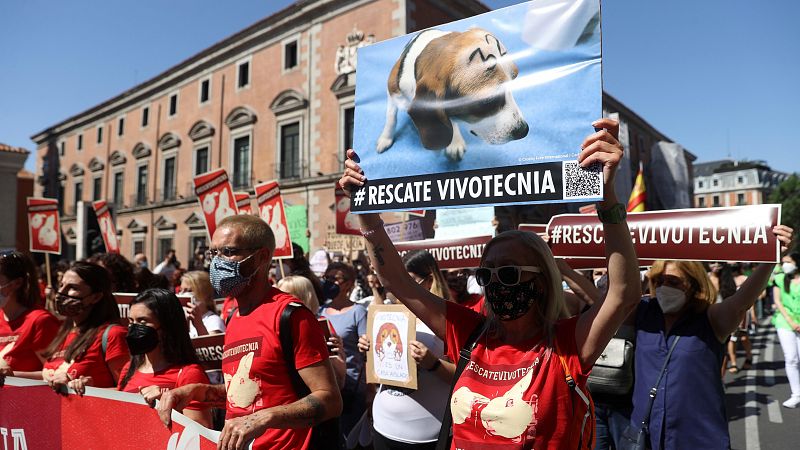 Decenas de organizaciones animalistas piden a la Comunidad de Madrid que rescate a los animales de Vivotecnia