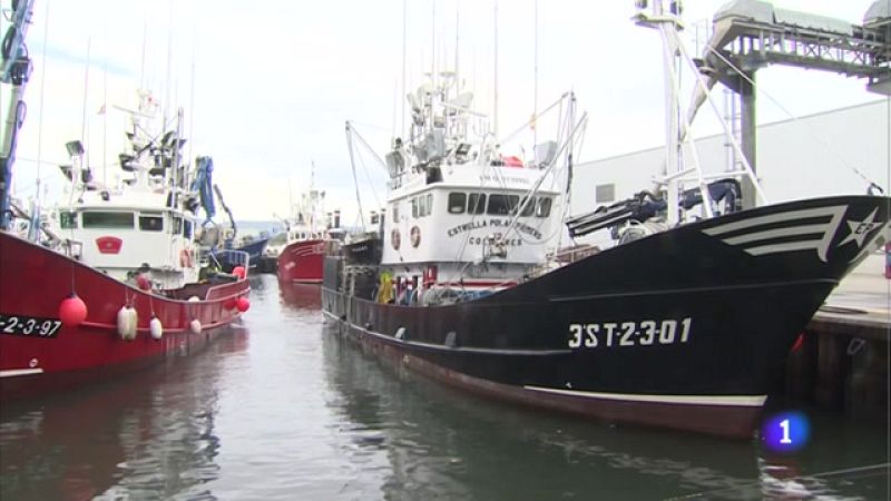 La flota satisfecha con la costera del bocarte