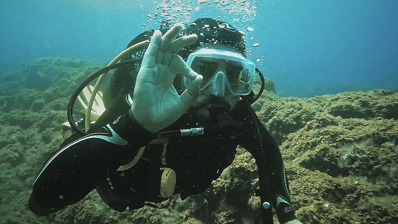 ¿Por qué nos debe preocupar la pérdida de coral?