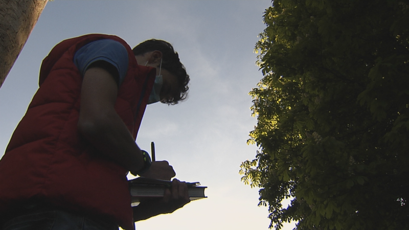 Un joven de 14 años reivindica en un blog los métodos tradicionales para predecir el tiempo