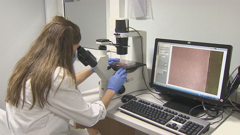 La diabetes está cada vez más cerca de poder curarse