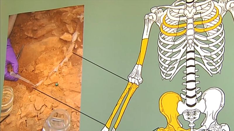 Linya, la mujer de La Noguera que vivió hace 14.000 años en el Prepirineo oriental