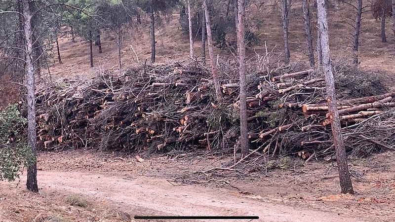 Los daños de Filomena aumentan el riesgo de incendios