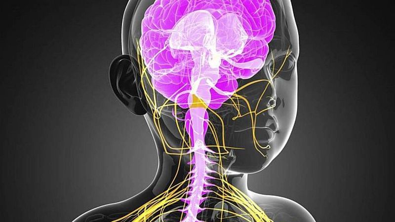 La majoria de trastorns mentals comencen a manifestar-se als 14 anys
