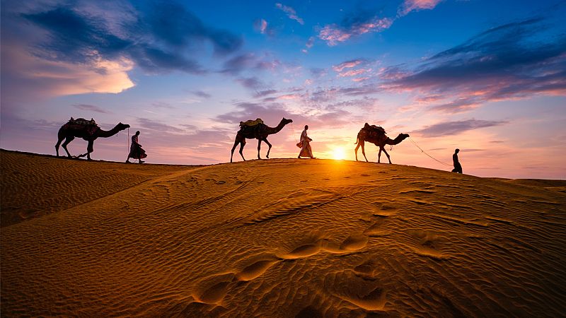 ¿Puede el ser humano acelerar o retrasar la desertificación?