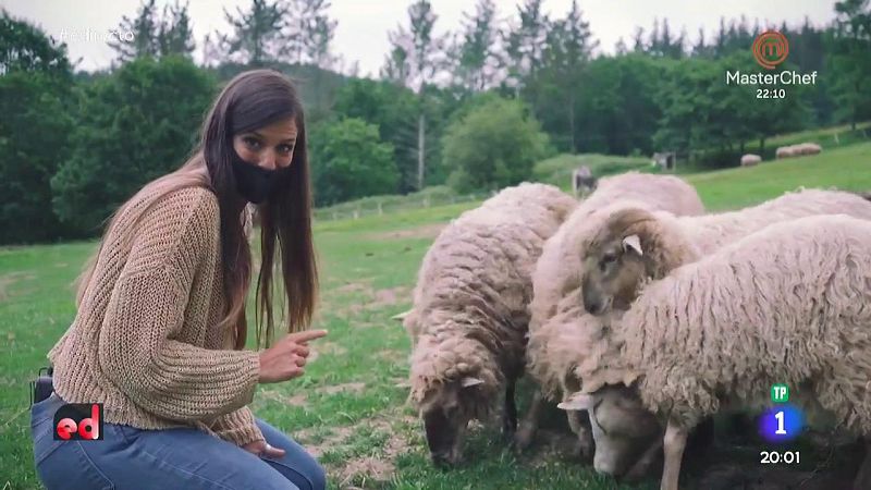 Evelyn Segura nos cuenta curiosidades sobre los animales de granja