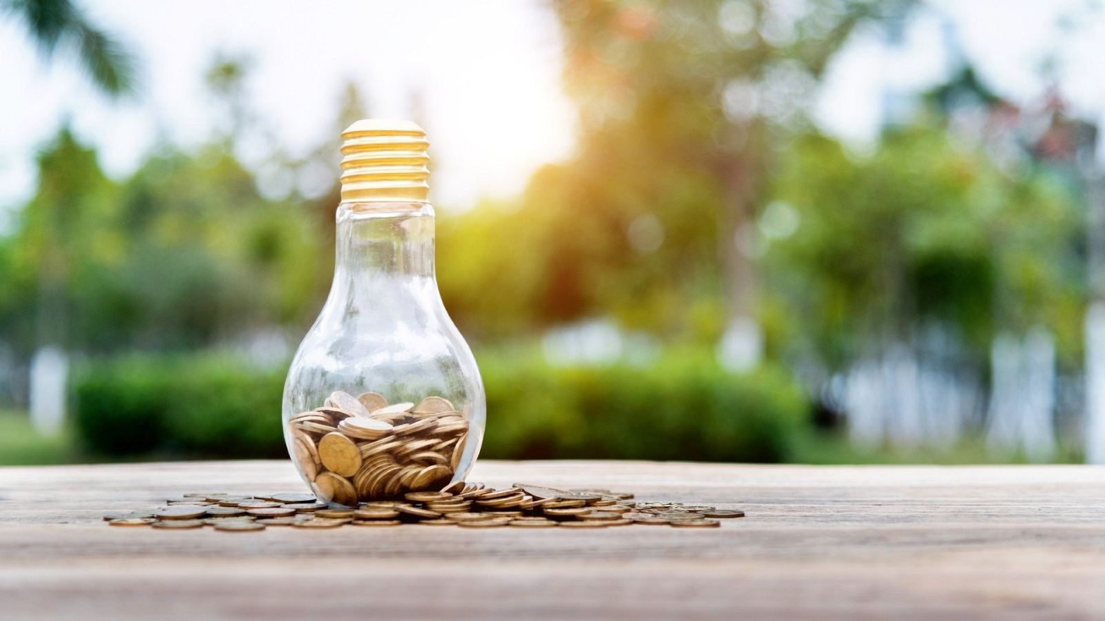 El Gobierno aprueba la rebaja del IVA de la luz del 21 al 10 % para la "práctica totalidad de los hogares españoles"