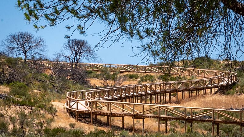 La Justicia europea condena a España por no proteger el humedal de Doñana