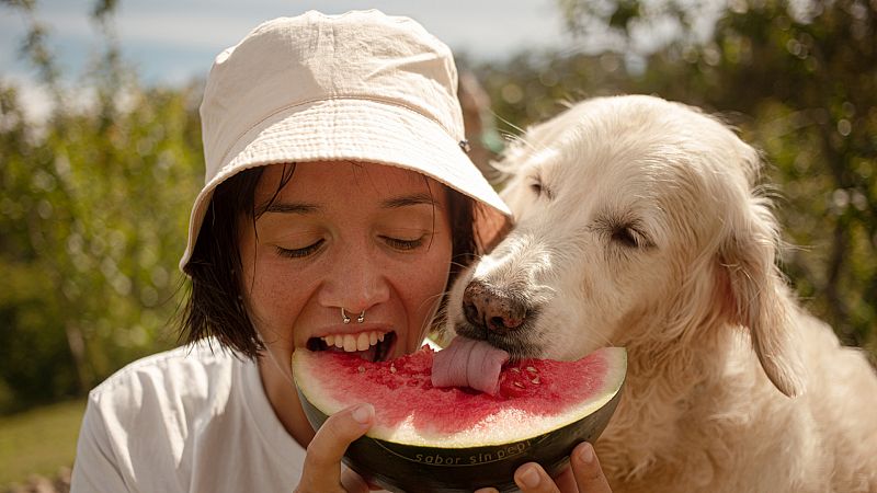 Jose Zafer, veterinario y creador de contenidos en Tik Tok, nos da consejos para ayudar a nuestras mascotas en verano