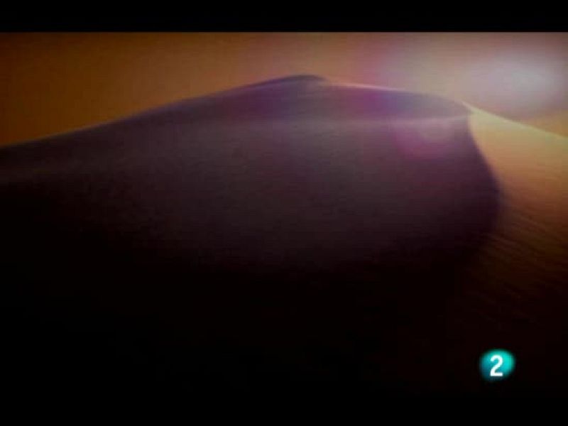 Todos los vídeos del Dakar 2009