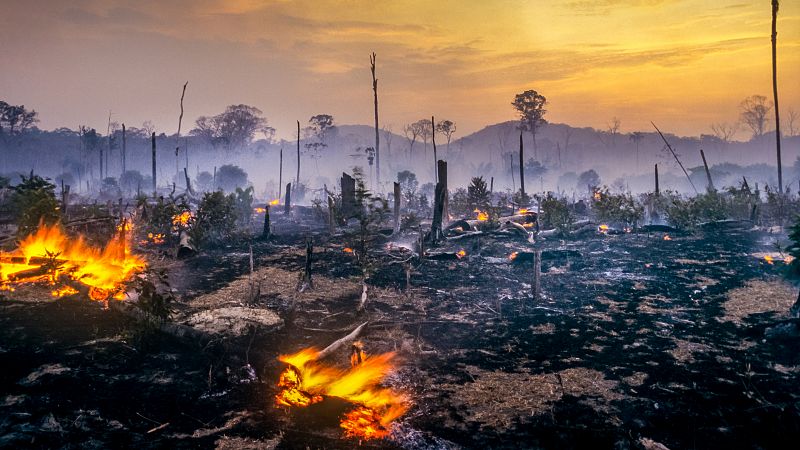 La Amazonia brasileña sufre el mayor número de incendios desde 2007