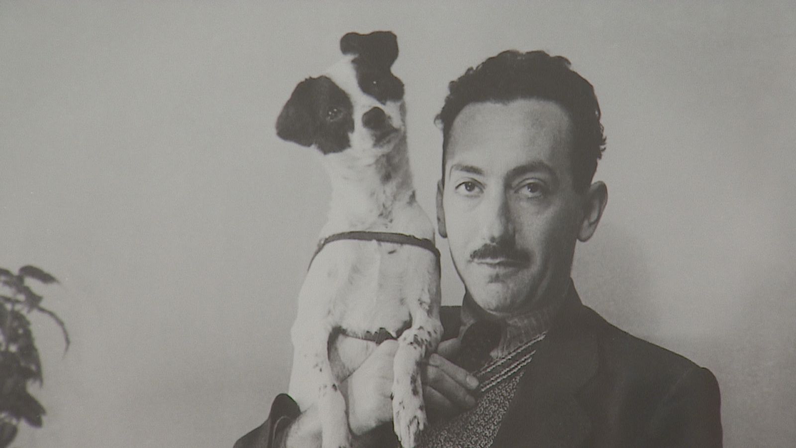 La mirada comprometida del retratista Nicolás Muller