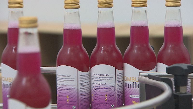 ¿Qué es la kombucha? Así es la bebida de moda que se elabora también en La Rioja