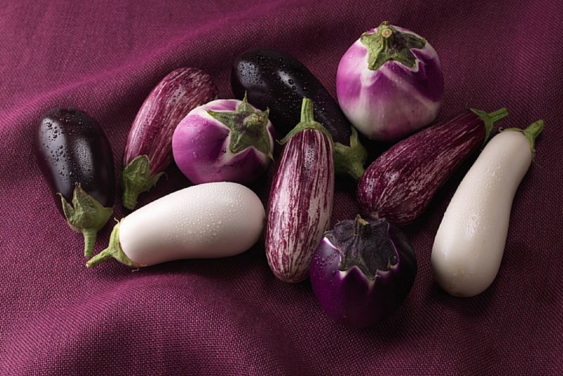 Confitura d'albergínia, amb Carme Ruscalleda