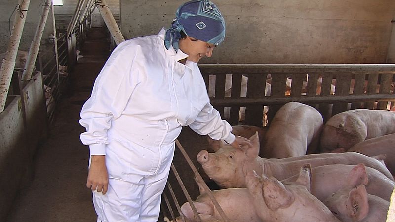 Las ayudas de la PAC, un impulso necesario para los jóvenes