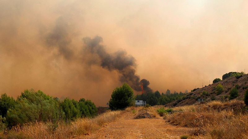La UME se incorpora al incendio de Albacete que ha quemado ya 1.000 hectreas