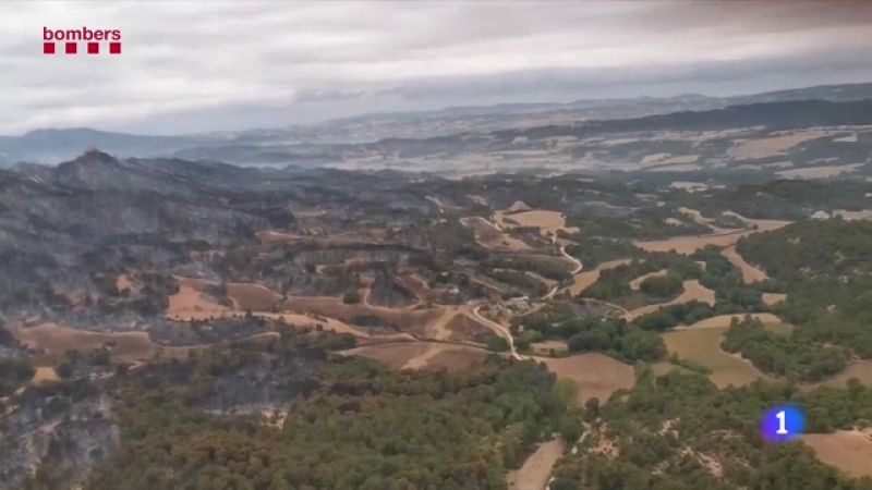 Controlat l'incendi de la Conca de Barberà i l'Anoia amb l'ajuda de la pluja