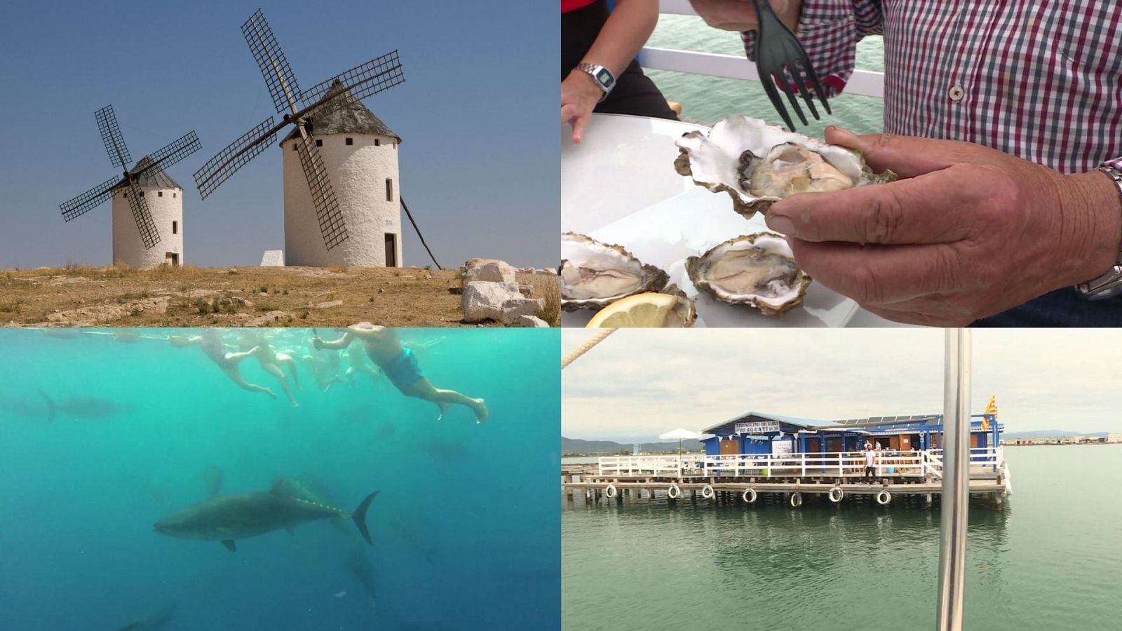 Avance: 'Quijotes por Naturaleza' en Comando al Sol | Ver