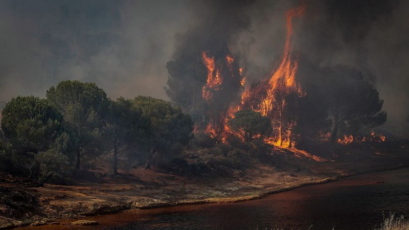 Los desastres naturales aumentan drásticamente desde 2019