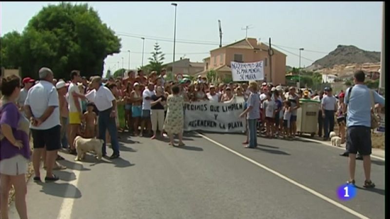 El fango y las especies invasoras amenazan al sur del Mar Menor