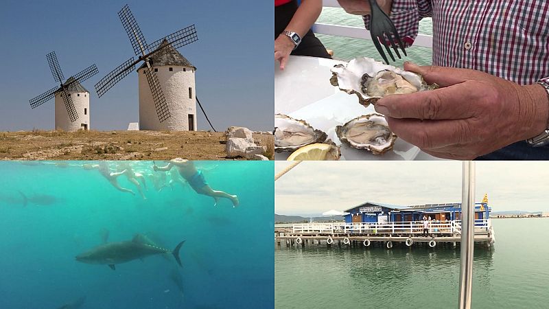 El Delta del Ebro, destino ideal para los amantes de la naturaleza y la gastronoma