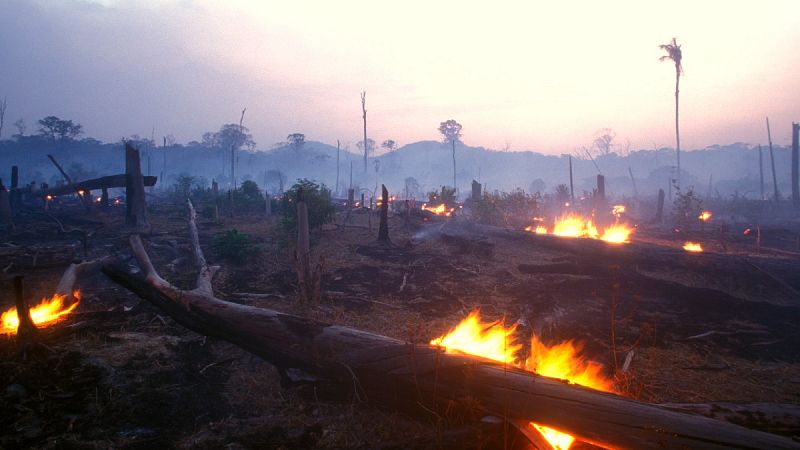 Día de la Sobrecapacidad de la Tierra: la humanidad lleva al planeta a números rojos