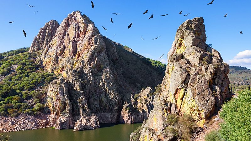 España cuenta con más de 85.000 especies de animales, hongos y plantas