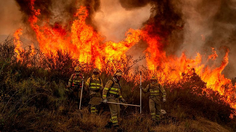 Incendios y récords de calor extremo: la semana fatídica del cambio climático