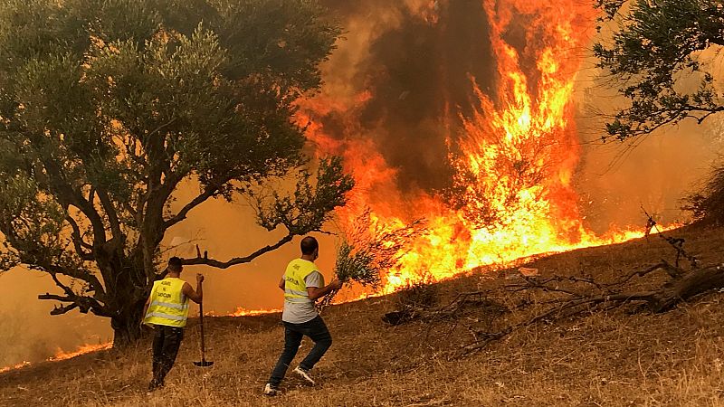 Los incendios no dan tregua al sur de Italia mientras sigue el calor extremo en el Mediterráneo